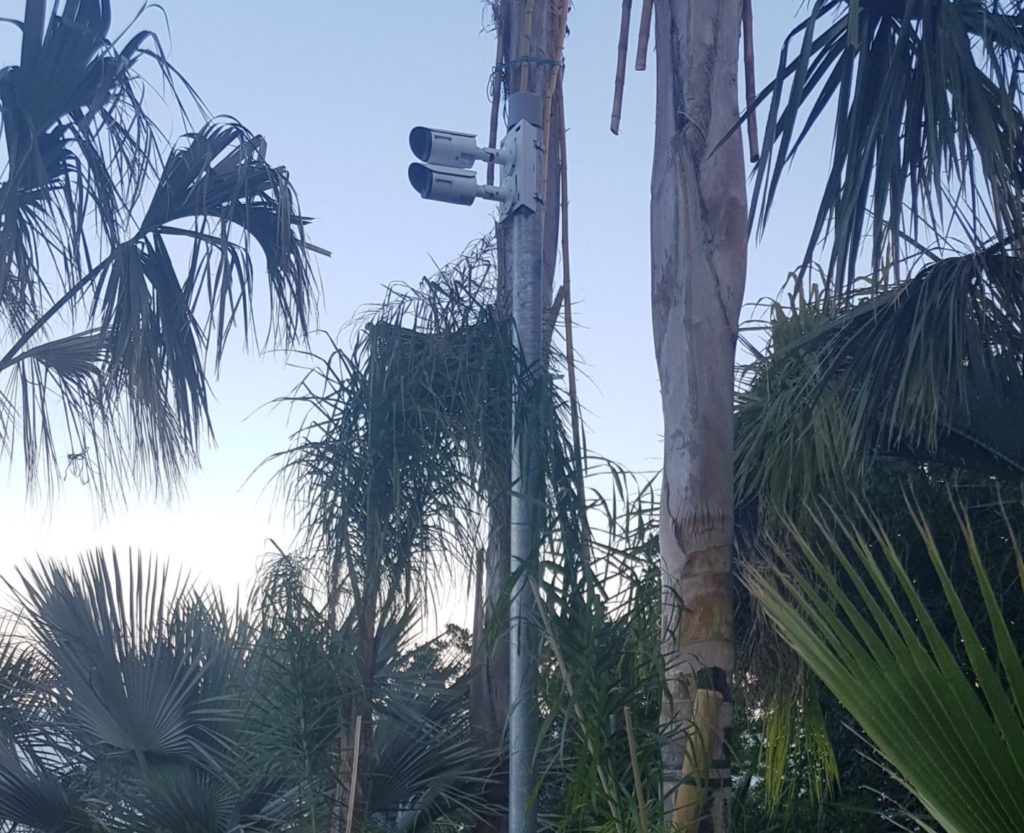Caméra de vidéosurveillance sur poteau installé en extérieur sur son poteau dans un jardin de cachée.